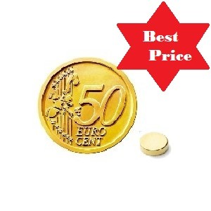 Disco magnetico DS 06-02