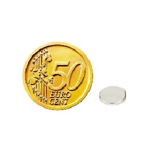 Disco magnetico DS 08-01