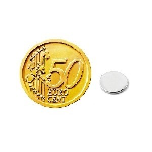 Disco magnetico DS 12-01