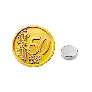 Disco magnetico DS 12-03